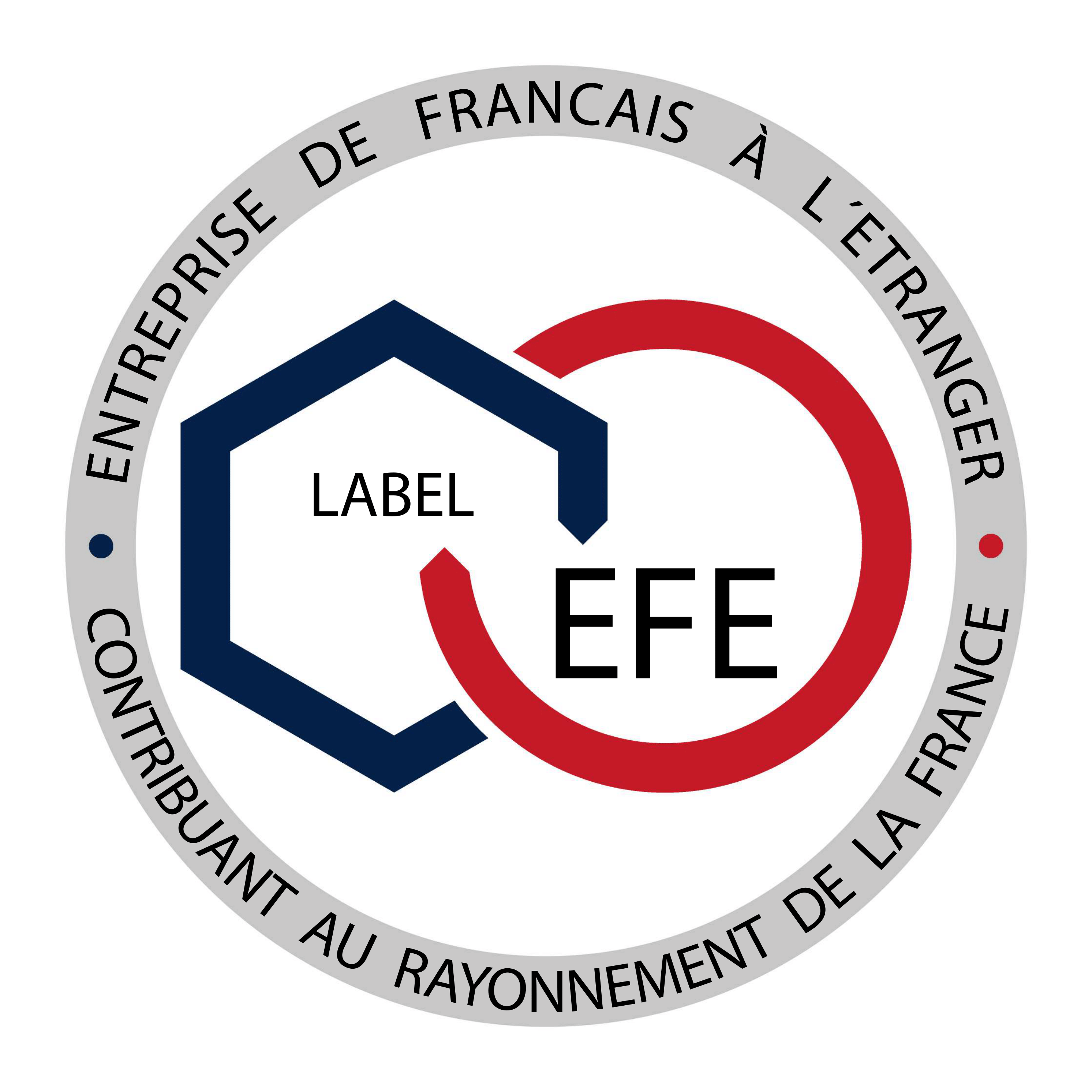 EFE logo